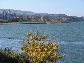 FCC to decontaminate Flix pond in Tarragona