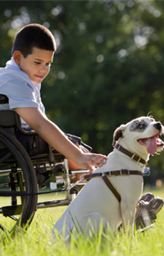 International Day of Persons with Disabilities
