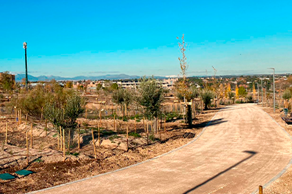 El proyecto “Avenida del Talgo” dentro de Bosque Metropolitano recibe la visita del Concejal de Desarrollo Urbano del Ayuntamiento de Madrid y el embajador de Londres en Madrid