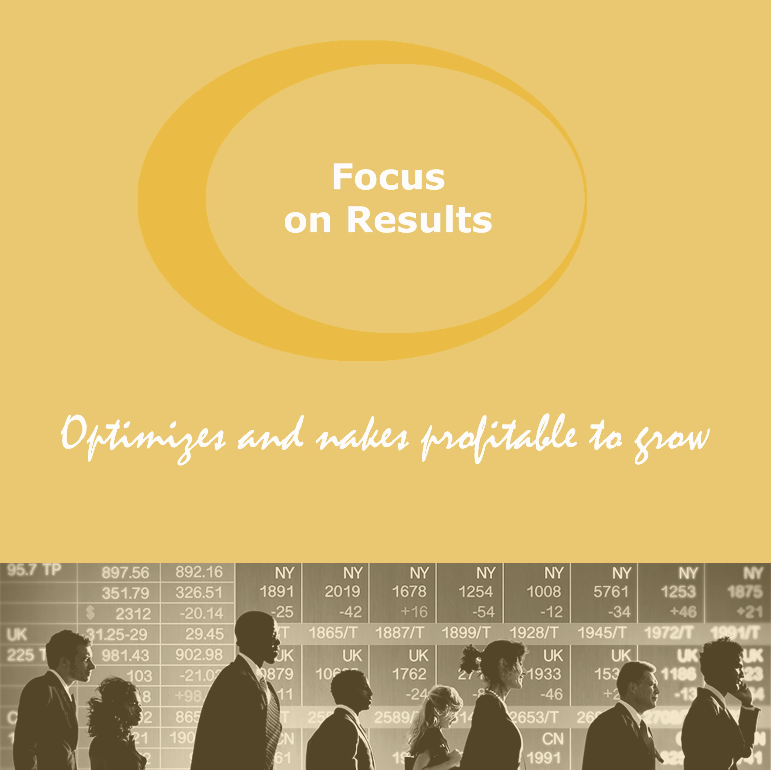 FCC and its Competencies Model: Focus results