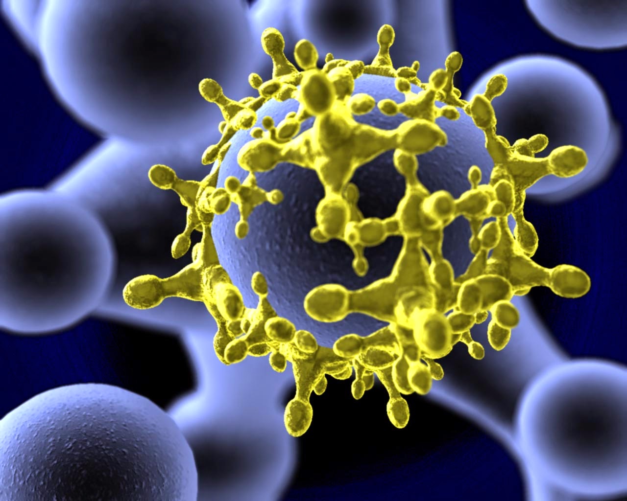 Información sobre el virus Zika